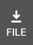 file icon