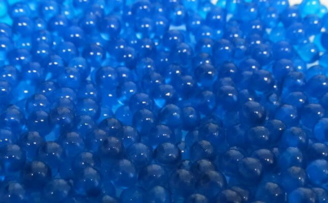 Wet Alginate Beads