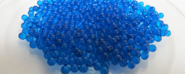 wet alginate beads