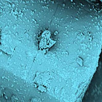 magnetic particles